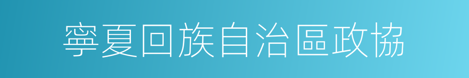 寧夏回族自治區政協的同義詞