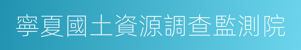 寧夏國土資源調查監測院的同義詞