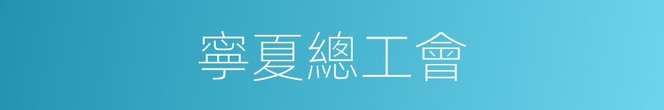 寧夏總工會的同義詞