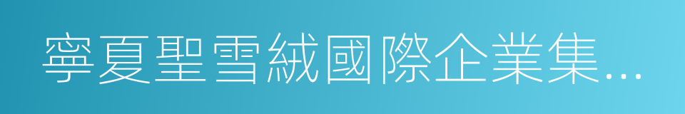 寧夏聖雪絨國際企業集團有限公司的同義詞