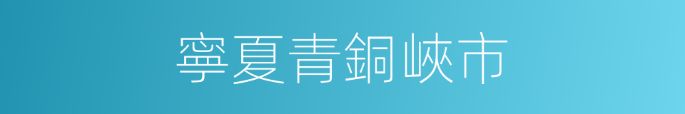 寧夏青銅峽市的同義詞