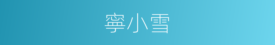 寧小雪的同義詞