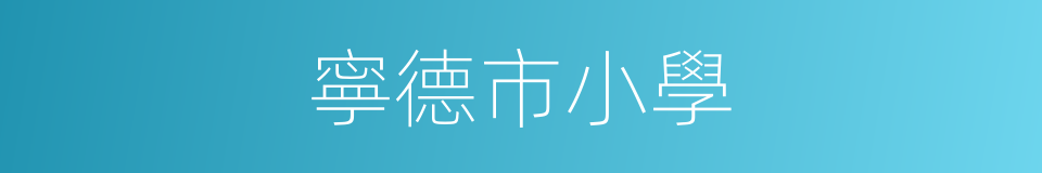 寧德市小學的同義詞