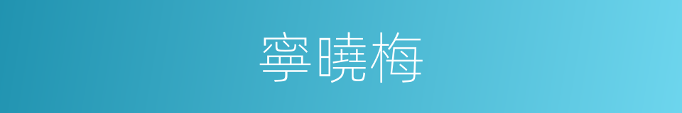 寧曉梅的同義詞