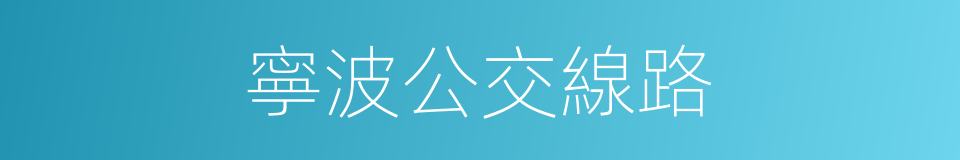 寧波公交線路的同義詞