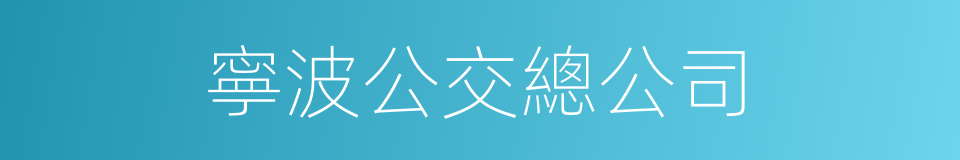 寧波公交總公司的同義詞