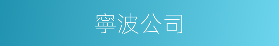 寧波公司的同義詞