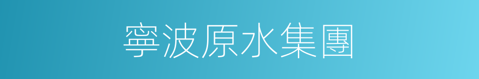 寧波原水集團的同義詞