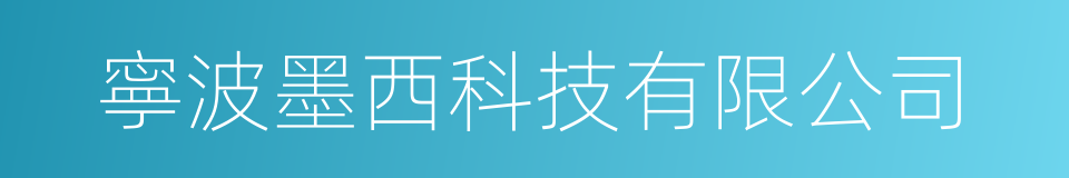寧波墨西科技有限公司的同義詞