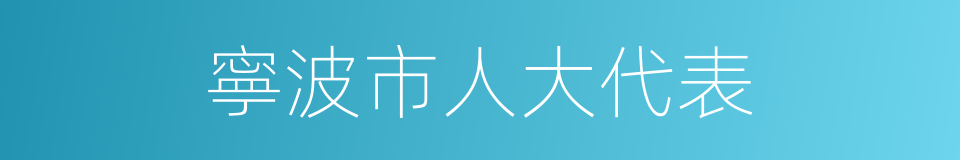 寧波市人大代表的同義詞