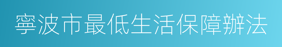 寧波市最低生活保障辦法的同義詞