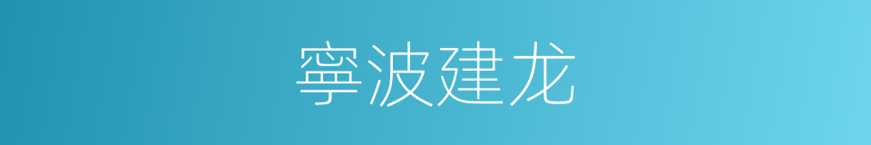 寧波建龙的同義詞