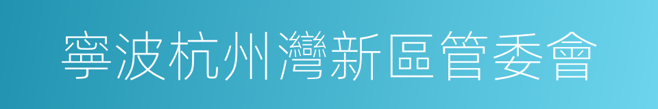 寧波杭州灣新區管委會的同義詞