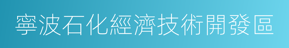 寧波石化經濟技術開發區的同義詞