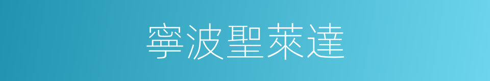 寧波聖萊達的同義詞