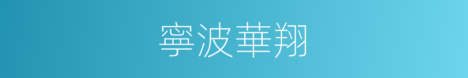 寧波華翔的同義詞