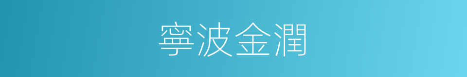 寧波金潤的同義詞