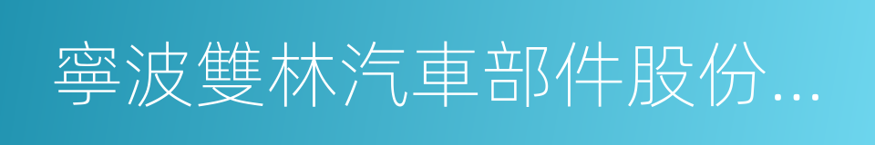 寧波雙林汽車部件股份有限公司的同義詞