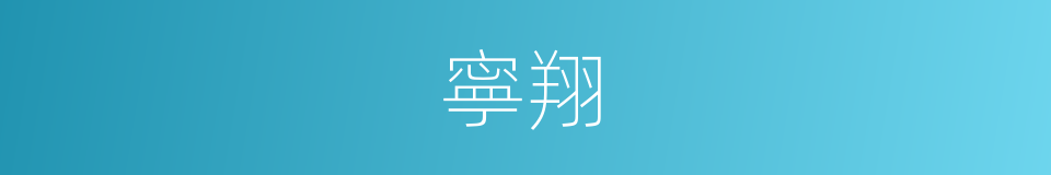 寧翔的同義詞