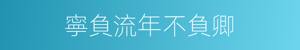 寧負流年不負卿的同義詞