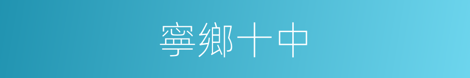 寧鄉十中的同義詞