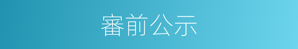 審前公示的同義詞