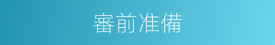 審前准備的同義詞