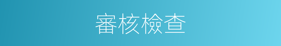 審核檢查的同義詞