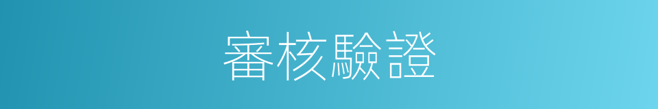 審核驗證的同義詞