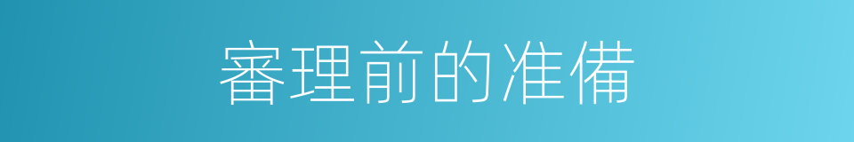 審理前的准備的同義詞
