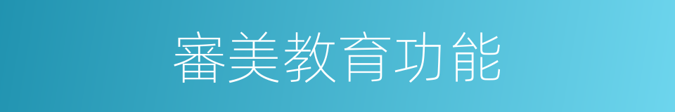 審美教育功能的同義詞
