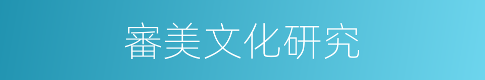 審美文化研究的同義詞