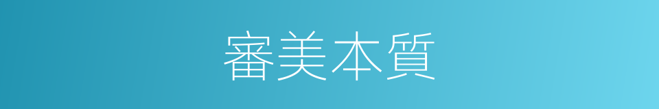 審美本質的同義詞