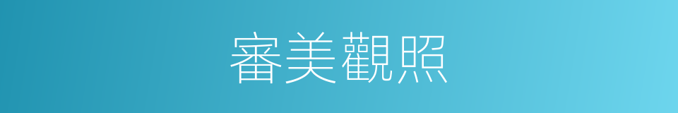審美觀照的意思