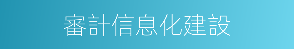 審計信息化建設的同義詞