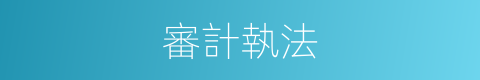 審計執法的同義詞