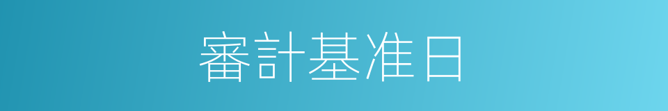 審計基准日的同義詞