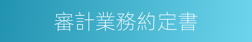 審計業務約定書的同義詞