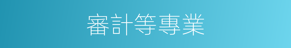 審計等專業的同義詞