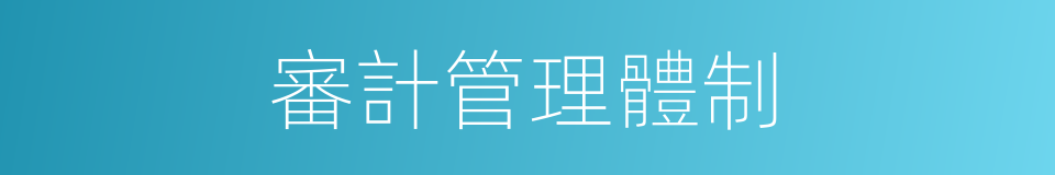 審計管理體制的同義詞