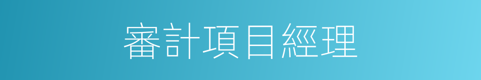 審計項目經理的同義詞