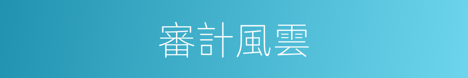 審計風雲的同義詞