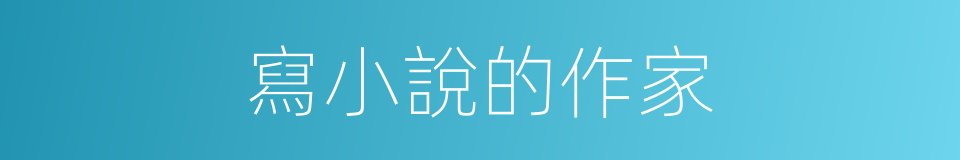 寫小說的作家的同義詞