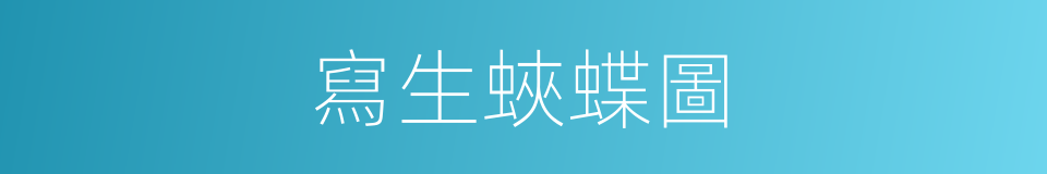 寫生蛺蝶圖的同義詞