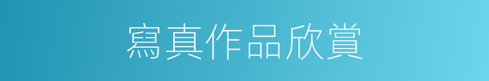 寫真作品欣賞的同義詞