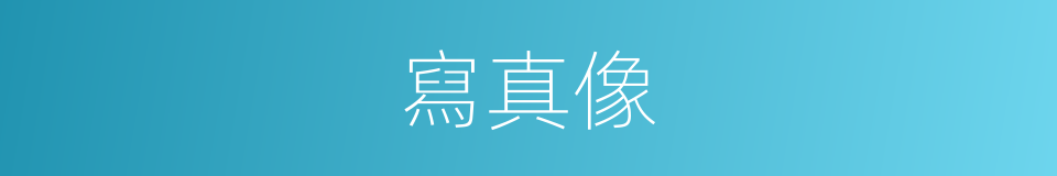 寫真像的意思