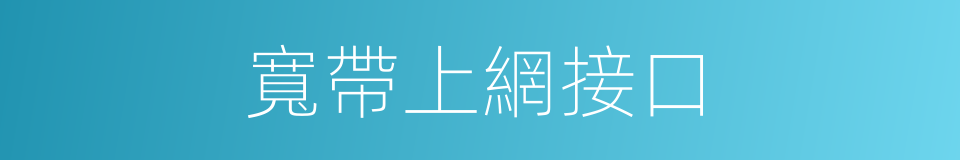 寬帶上網接口的同義詞