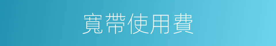 寬帶使用費的同義詞