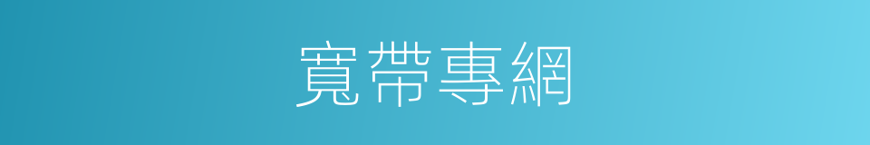 寬帶專網的同義詞