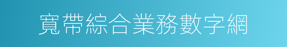 寬帶綜合業務數字網的同義詞